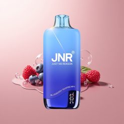 Blueberry Raspberry JNR Rainbow 10500 Puffs 18ml Disposable Vape