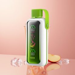 Double Apple Ice VOZOL Star 20000 Puffs Dual Mesh