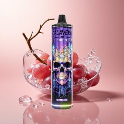 Grape Ice JNR Calavera 11000 Puffs Type-C