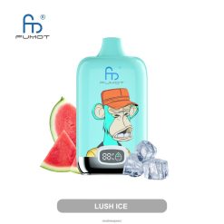 RandM Online Shop - Fumot Original RandM Digital Box 12000 Battery And Liquid Display Vape Device Lush Ice 60664B7